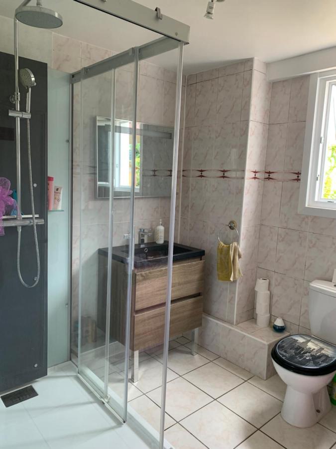 T2 Independant Proche Ol Stadium Et Salle Ldlc Arena Apartment Meyzieu