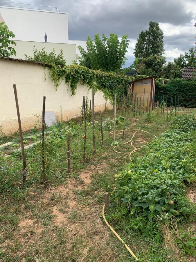Apartment T2 Independant Proche Ol Stadium Et Salle Ldlc Arena *